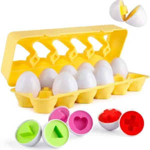 Eggs Toy  For Kids  3D Puzzle Learning Education